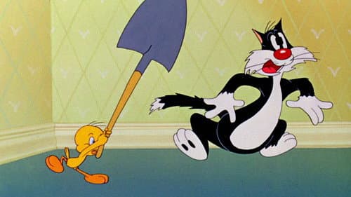 Tweetie Pie의 스틸컷