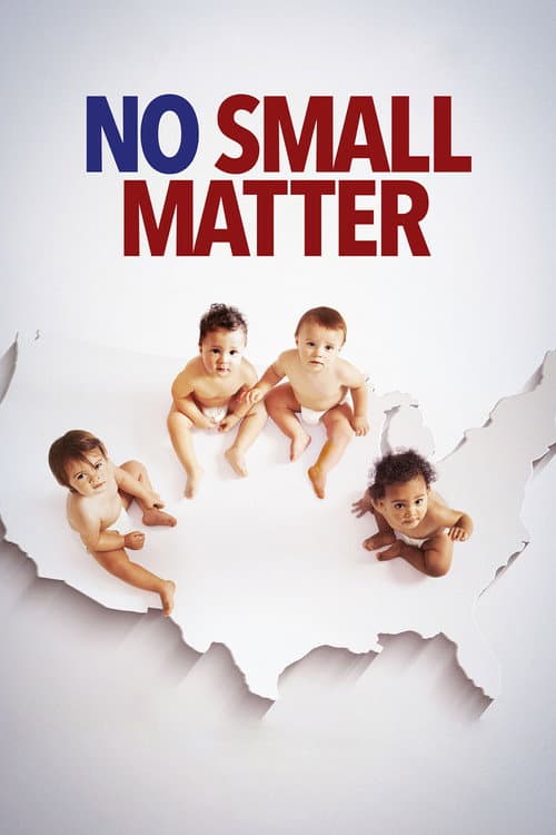 No Small Matter의 포스터