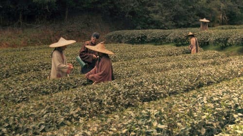Les aventures de Robert Fortune ou comment le thé fut vole aux Chinois의 스틸컷