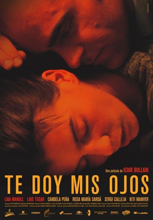 Te doy mis ojos의 포스터