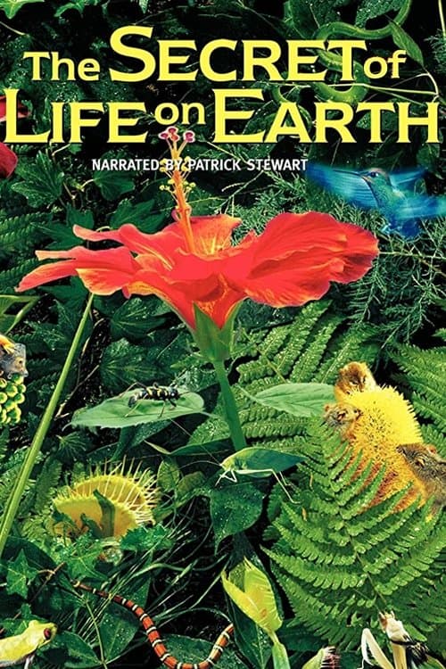 The Secret of Life on Earth의 포스터