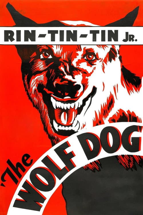 The Wolf Dog의 포스터