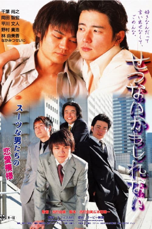 せつないかもしれない의 포스터