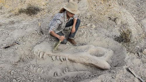 Valley of Bones의 스틸컷