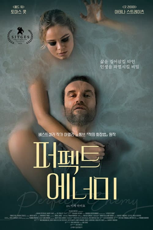 퍼펙트 에너미의 포스터