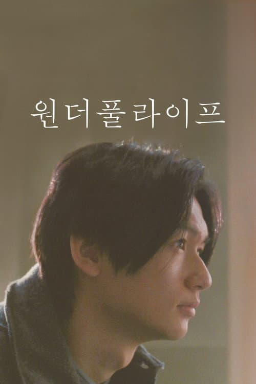 원더풀 라이프의 포스터