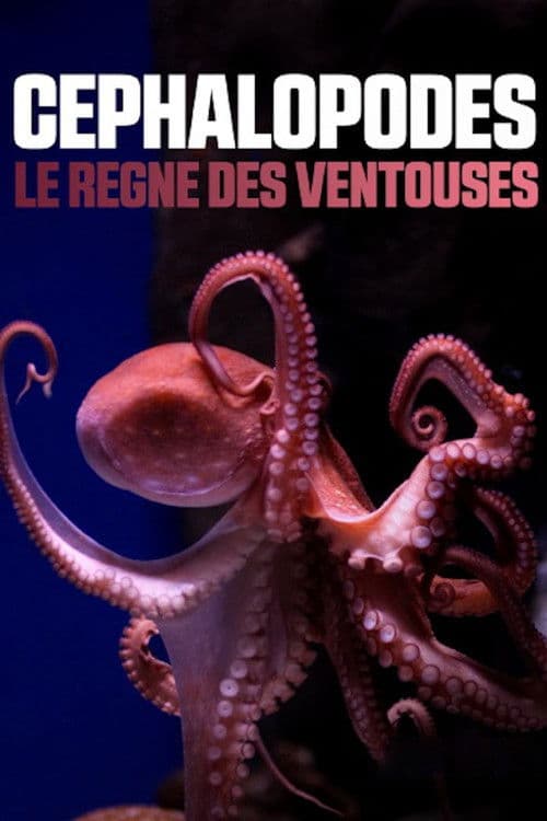Céphalopodes : le règne des ventouses의 포스터