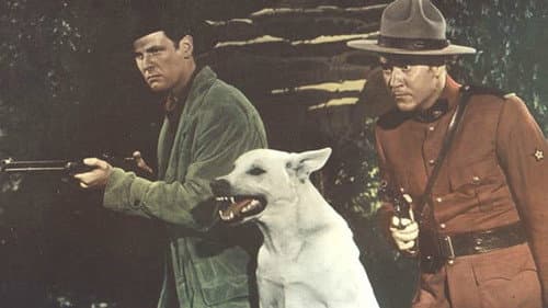 Trail of the Yukon의 스틸컷