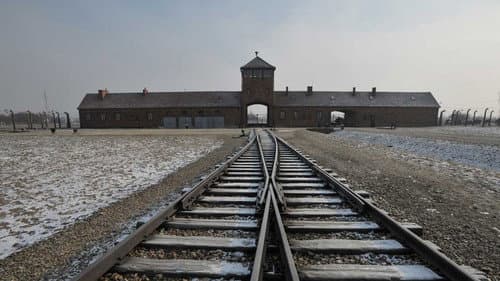 Születési helye: Auschwitz의 스틸컷