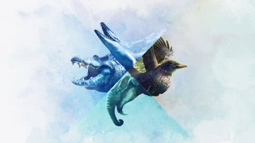 When Whales Walked: Journeys in Deep Time의 스틸컷